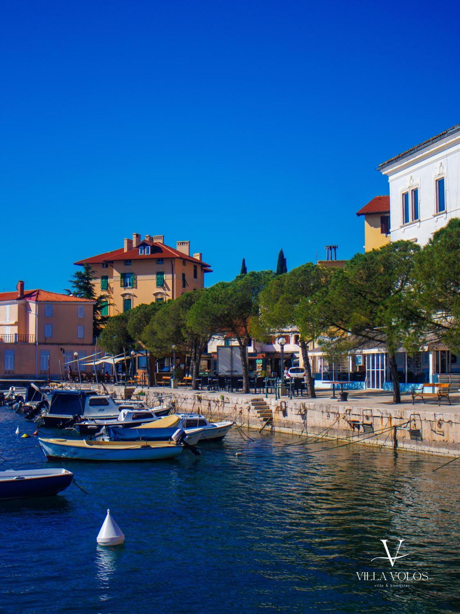 Villa Volos Apartment Karmen With Roof Terrace, Sea View, Free Private Parking Abbazia Esterno foto